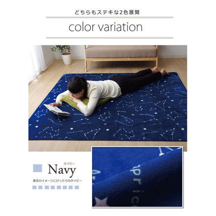 抗菌・防臭 ウォッシャブル フランネル ホットカーペットカバー 『WSミリオン