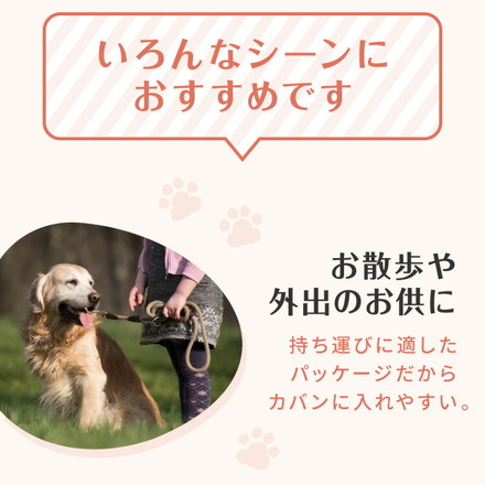 【5個セット】 犬用 おやつ 食べ切りサイズ 無添加 お肉 お魚 日本製 国産 犬用おやつ ご飯 mimipets パリパリしゃけ