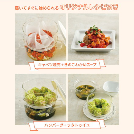 HARIO ガラスのせいろ蒸し器 せいろ 蒸し器 レンジ調理 ガラス お手入れ簡単 レンジ蒸し器 電子レンジ レンジ