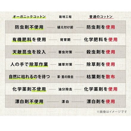 抱き枕 U字 綿100% オーガニックコットン 洗える グレー