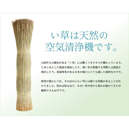 純国産 双目織 い草上敷 『すずらん』 六一間 4.5畳（約277×277cm）