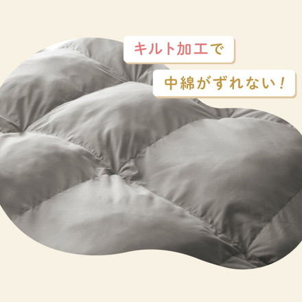 掛け布団 シングル セミダブル ダブル 単品 抗菌 防臭 エアロファイバーダウン フィルケア テイジン TEIJIN 帝人 グレージュ シングル