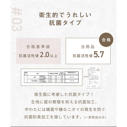 【2枚セット】 プレミアムフランネル 敷きパッド ワイドキング 200×200cm なめらか 秋冬用 暖かい スモーキーグレー2［63949-a001］