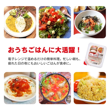 アイリスフーズ 低温製法米のおいしいごはん 150g×40食パック（10食パック×4袋）