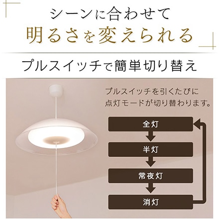 アイリスオーヤマ 洋風LEDペンダントライト メタルサーキットシリーズ 浅型 6畳 PLM6D-YA