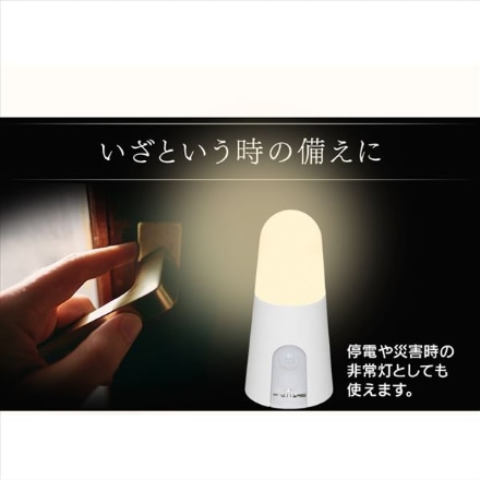 アイリスオーヤマ 乾電池式LEDセンサーライト スタンドタイプ BSL40SL-WV2 電球色