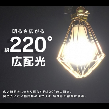アイリスオーヤマ LEDクリップライト 屋内用 100形相当 ILW-165GC3