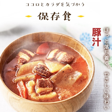 アイリスフーズ 非常食 防災食 災対食パウチ 豚汁 250g 36個