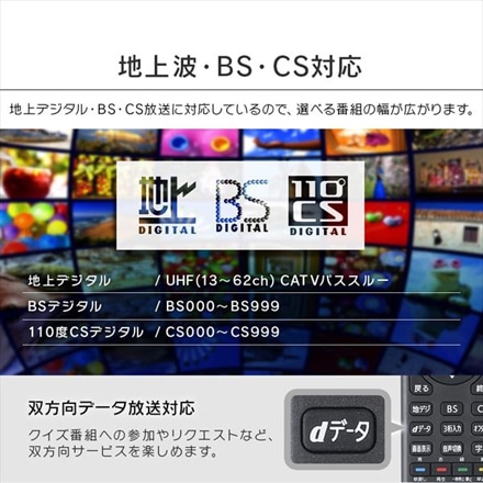 アイリスオーヤマ ハイビジョン液晶テレビ 24V型 LT-24B320 ブラック