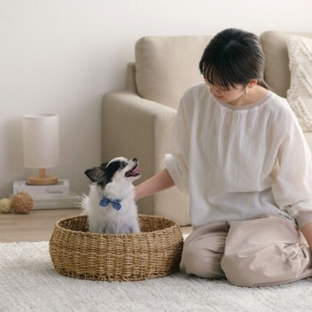 アイリスオーヤマ ラタン調ペットハウス ラウンド PHR-R4414 ナチュラル