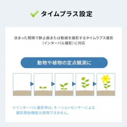 サンワサプライ バッテリー内蔵小型トレイルカメラ CMS-SC10BK ブラック