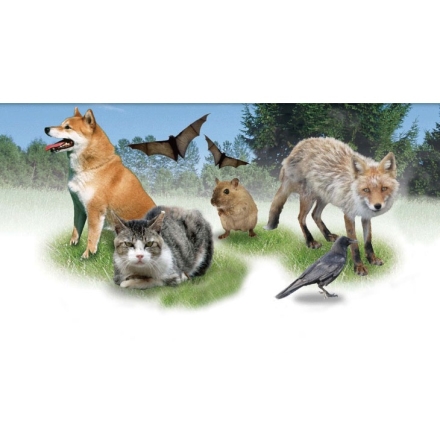 ソーラー充電式害獣駆除機 赤外線センサー 2個組