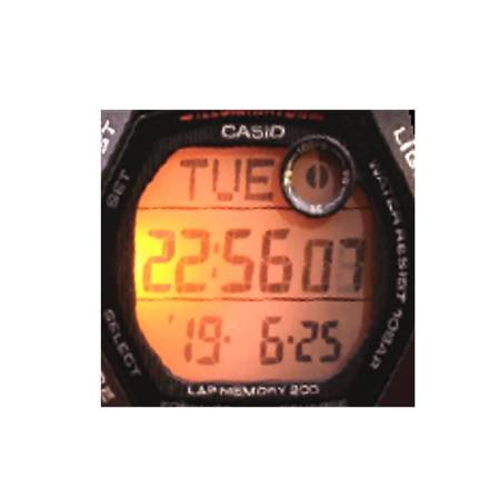 CASIO カシオ デジタル 腕時計 歩数計付きウォッチ WS-2000H