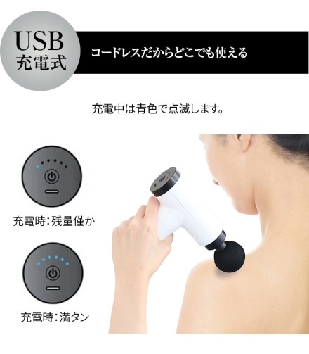 トレードワン USB充電式 電動メンテナンスガン フレッシュウェーブ [ブラック]