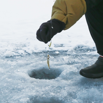 発熱ヒーティング手袋 HCDL-KHG001 防寒 グローブ