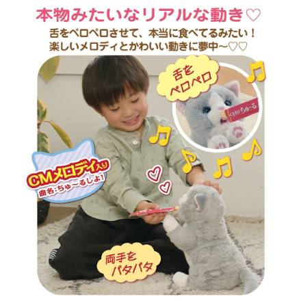 ぺろりーにゃ　グレー ちゅ～るちょうだい!