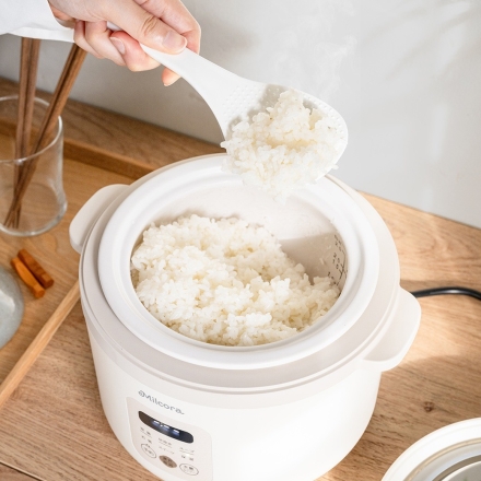 土鍋炊飯器「匠」 土鍋炊き風 炊飯器 1合～2.5号 一人暮らし 新生活応援 コンパクト炊飯器 マイコン式