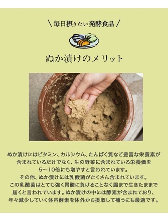 熟成ぬか漬けキット 1kg×2袋