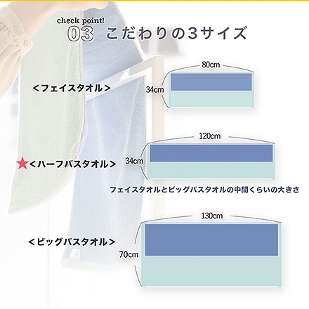 ハーフ バスタオル 4枚 セット 今治 タオル DAILY PRAIRIE リバーシブル B