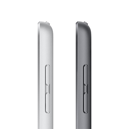 Apple iPad 10.2インチ Wi-Fi + Cellularモデル 64GB - シルバー with AppleCare+ ※他色あり