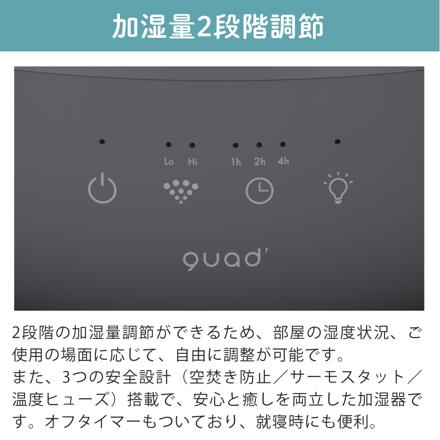 QUADS ガラススチーム加湿器 GLASS MINI QS629GY グレー