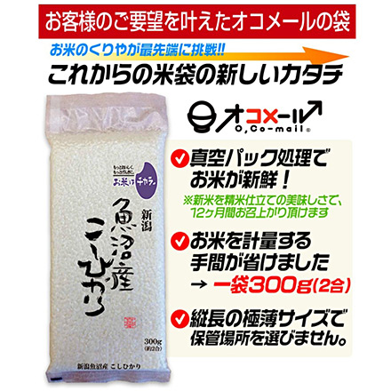 白米 群馬県沼田産 小松姫 〈コシヒカリ〉 900g 令和6年産