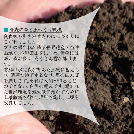 新米 白米 青森県産 青天の霹靂 2kg 令和6年産