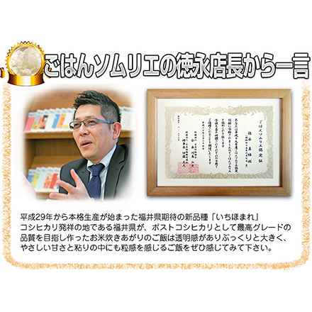 新米 白米 福井県産 いちほまれ 6kg 2kg×3袋 特A評価 令和6年産