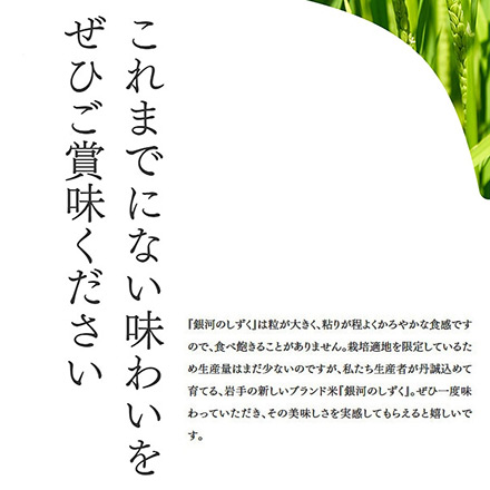 新米 白米 岩手県産 銀河のしずく 6kg 2kg×3袋 特A評価 令和6年産