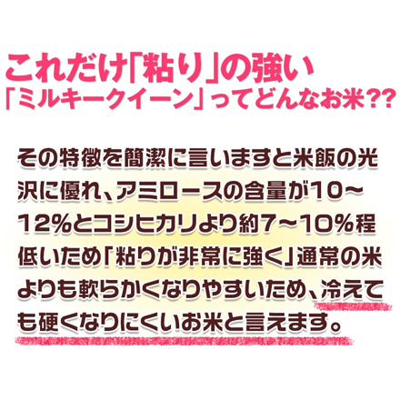 白米 石川県産 ミルキークイーン 6kg 2kg×3袋 生産者指定米 令和6年産