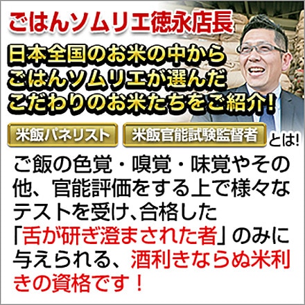 白米 もちもち食感 3種食べ比べ ミルキークイーン＋京都丹後コシヒカリ＋サキホコレ 6kg 2kg×3袋 令和6年産