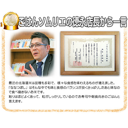 玄米 北海道産 ななつぼし 24kg 2kg×12袋 特A評価 令和6年産