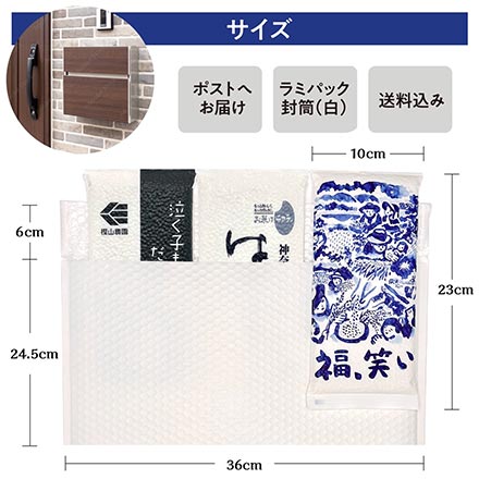 白米 父の日ギフト オコメール 銀シャリ3種食べ比べセット 300g(2合)×3種 真空パック 令和7年産 《限定ギフトカード付》