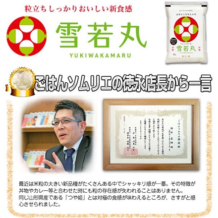 新米 白米 山形県産 雪若丸 10kg 2kg×5袋 特A評価 令和6年産