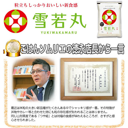 新米 白米 山形県産 雪若丸 6kg 2kg×3袋 特A評価 令和6年産