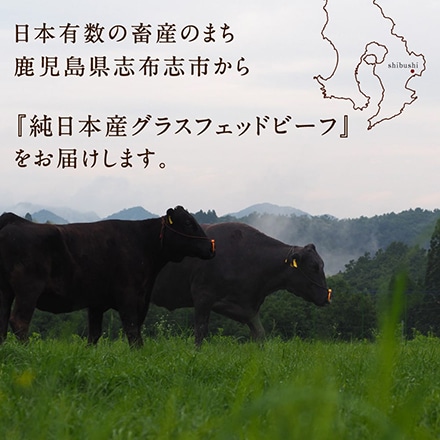 Dr.Beef 純日本産 グラスフェッドビーフ 黒毛和牛 サーロインステーキ 150g