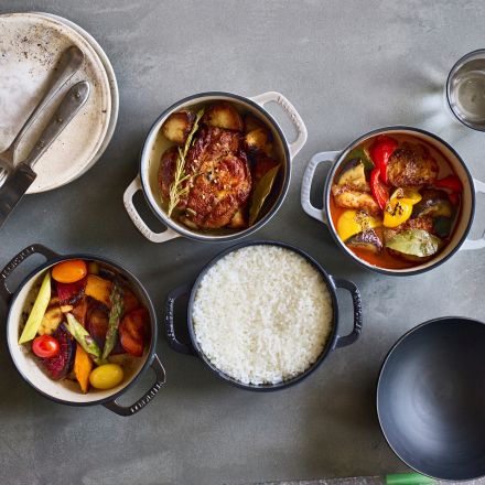 Vermicular バーミキュラ オーブンポット2 ミニ 14cm セルフスタンディングリッド マットブラック OP2R14S-BK