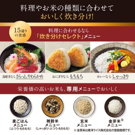 象印マホービン 炎舞炊き 圧力IH炊飯ジャー 5.5合 黒 NX-AB10-BZ