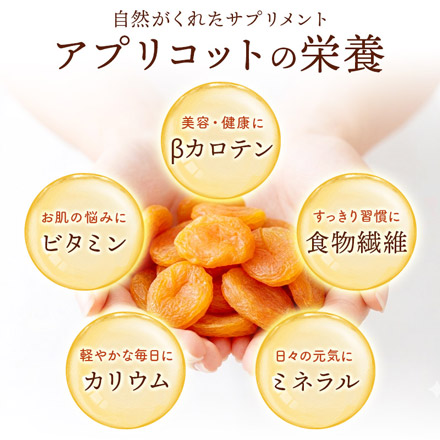 ドライアプリコット 400g 砂糖不使用 種抜き 肉厚
