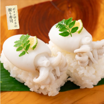 ボイル 甲イカ コウイカ