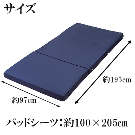 昭和西川 ラクシーン 寝ればわかるマットレス デラックス マットレス シングル パッドシーツセット