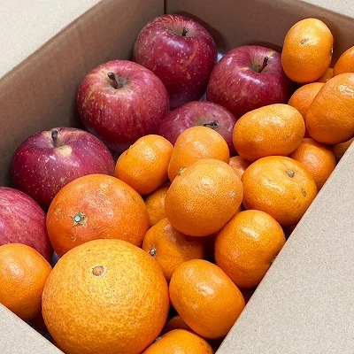 果物詰め合わせ 約3kg 規格外 りんご みかん 柑橘 など季節のフルーツ 自宅用 果物/訳あり 傷あり 汚れあり 産地サイズお任せ 林檎 リンゴ ミカン 訳ありみかん 訳ありりんご 大容量 果物セット フルーツ詰め合わせ