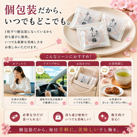 沖縄県産 加工黒糖使用 しっとり 種なし 干し梅 200g 個包装