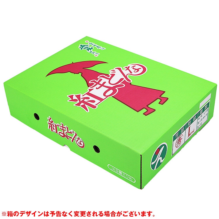 紅まどんな 3kg 愛媛県産 秀品 贈答 ギフト 青秀 以上 みかん JAえひめ中央 常温便 同梱不可 指定日不可 ミカン 蜜柑 旬