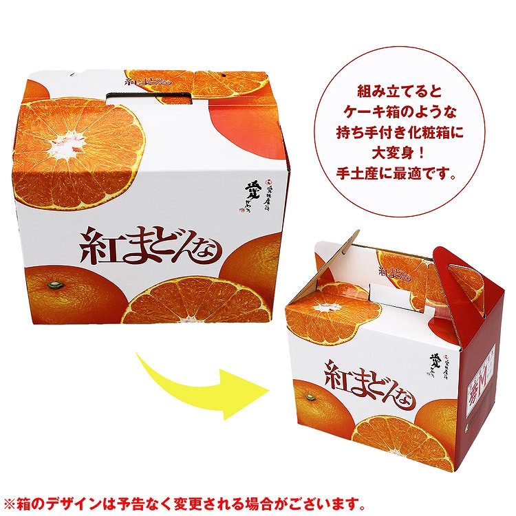 紅まどんな 1.3kg 愛媛県産 ご家庭用 手土産 6ー10玉程度 Mー2Lサイズおまかせ 良品以上 みかん JAえひめ中央 常温便 同梱不可 指定日不可 ミカン