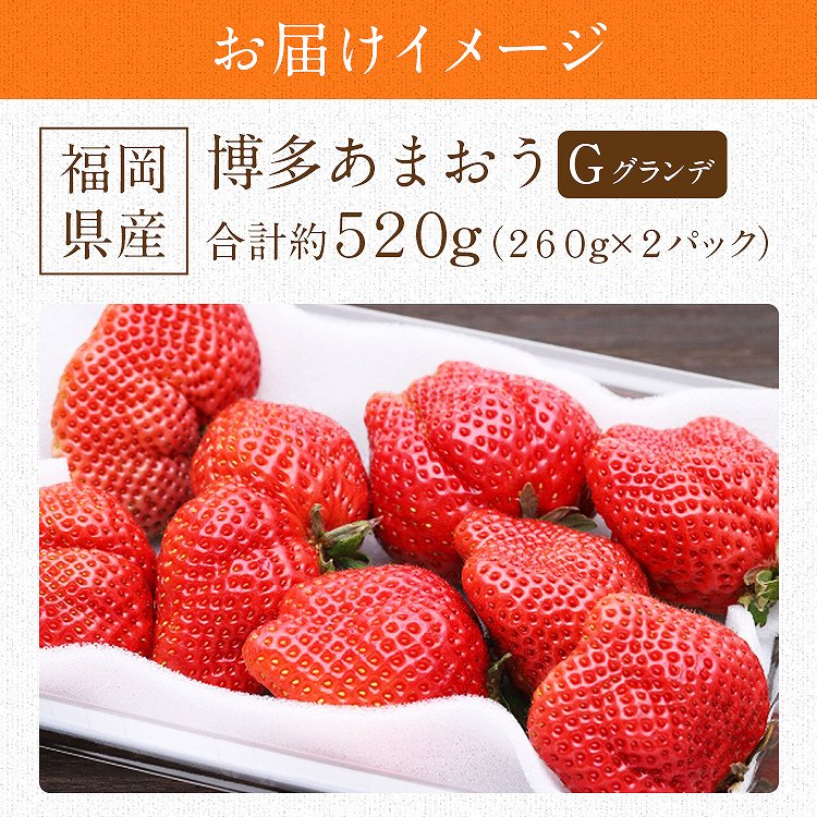 あまおう いちご 福岡 ご家庭用 G 2パック 約520g (1パック約260g) 博多あまおう 冷蔵便 同梱不可 指定日不可