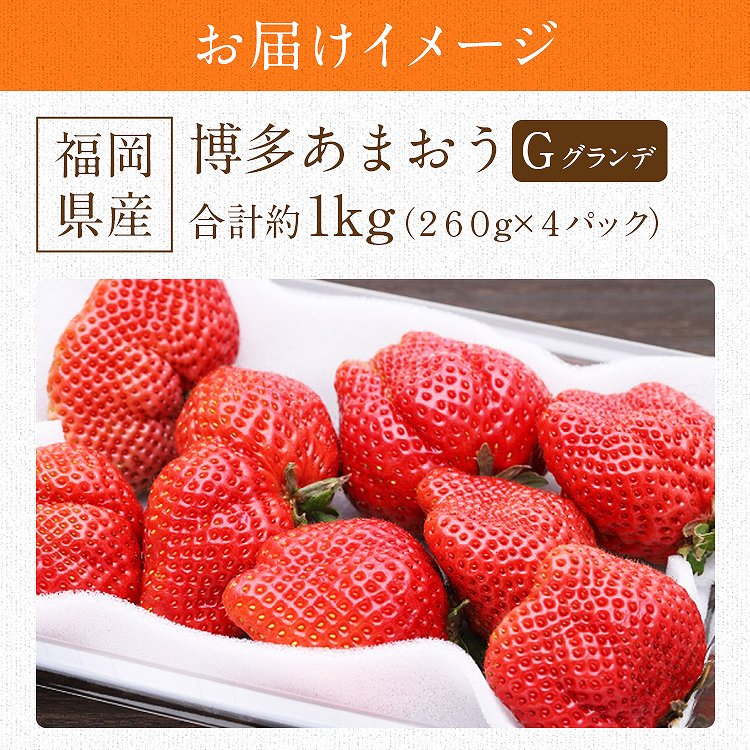 あまおう いちご 福岡 ご家庭用 G 4パック 約1kg (1パック約260g) 博多あまおう 冷蔵便 同梱不可 指定日不可