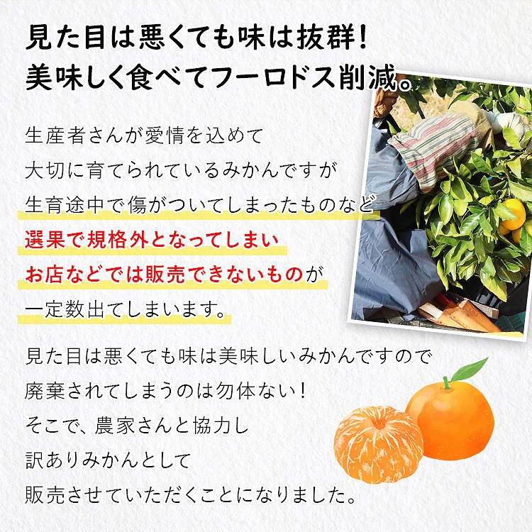 訳あり みかん 6.3kg (6kg+保証分300g程度) 3kgx2箱セット 和歌山県産 早生みかん 温州みかん ミカン 蜜柑 柑橘 わけあり 常温便 同梱不可 指定日不可