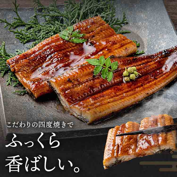 うなぎ 鹿児島県産 2尾 父の日BOX 父の日 125g×2 化粧箱入 国産 蒲焼き 長焼き 無投薬 焼き上げ 無頭 2本