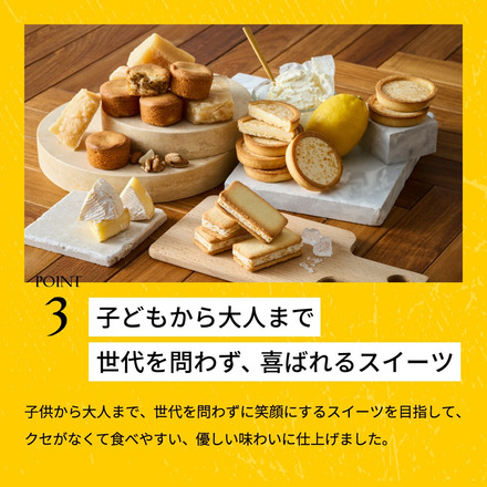 +Cheese プラスチーズ それはおいしい方程式！ 8個入り（チーズサンド4個とチーズガレット4個）